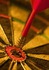 bulls_eye.jpg