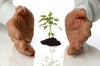 Growth.jpg