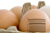 egg_barcode.jpg